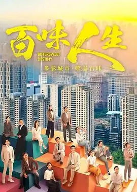 我的解放日志剧集路标封面
